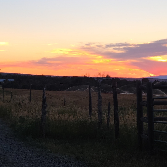 My Live Listing. Come Join Me. - Picture 2 of 5